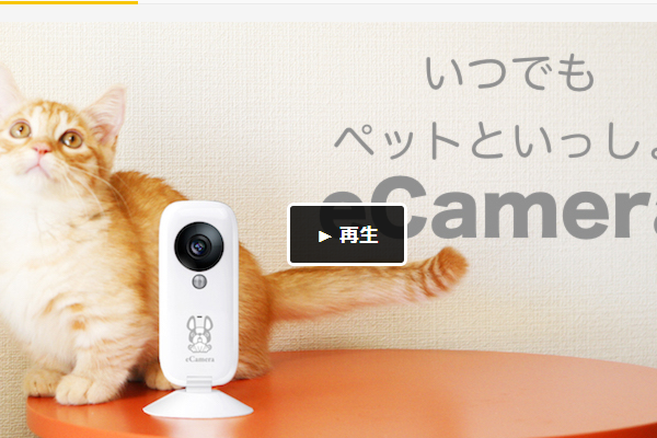 ペットをカメラで見守るスマホ専用カメラ「eCamera」